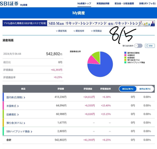 20240805]valuation]profit-loss-04.jpg