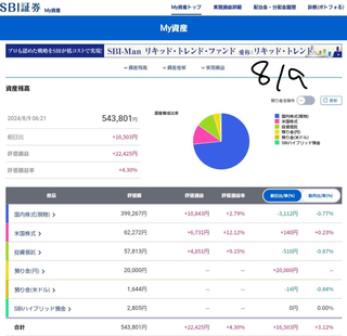 20240809-valuation-profit-loss-04.jpg