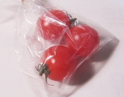 トマト0205.JPG