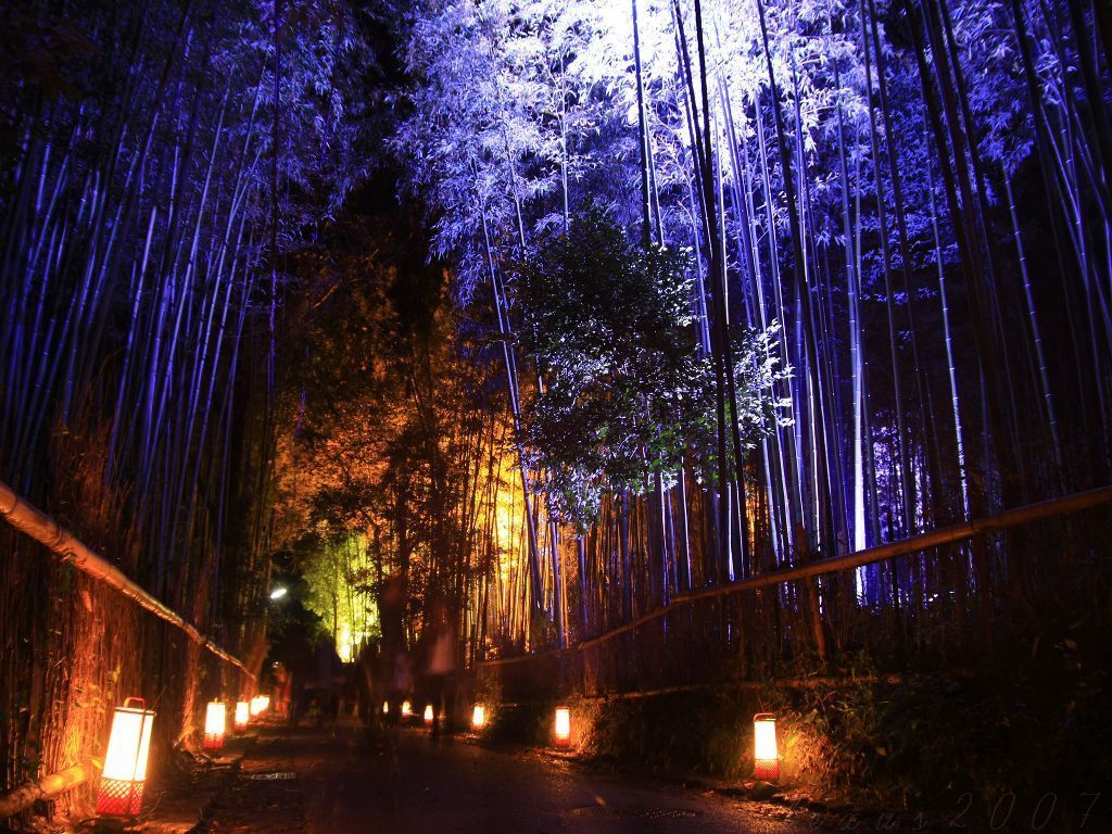 １竹林夜.jpg