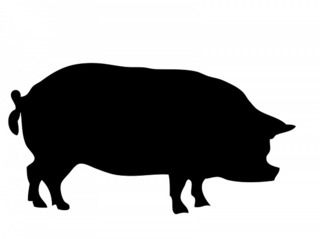 pig-220277_640.jpg