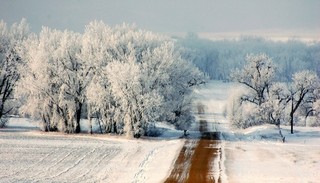 dsc_3748_winter_wonderland_lo1.jpg