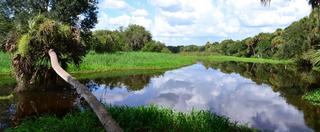 myakka river state park.jpg