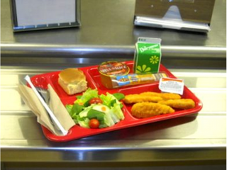 school_lunches-1470757363-7021.png