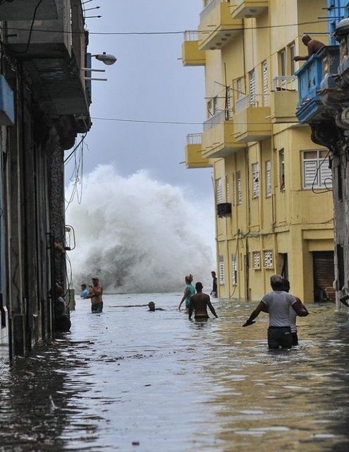 Habana-Irma.jpg