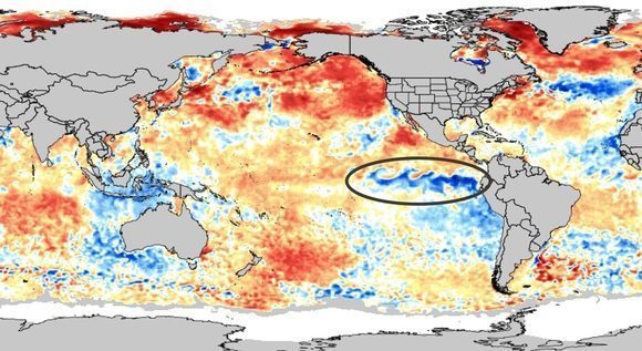 anomalías-temperatura-mar.jpg