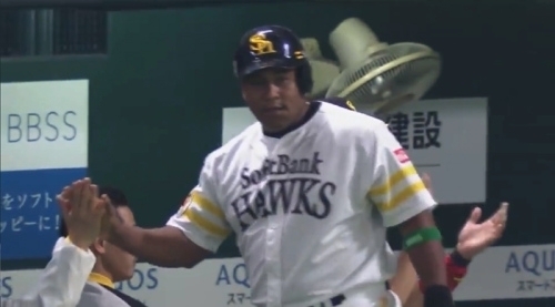 despaigne-japon2017.jpg