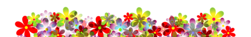 flowers-2085120__340[2].png