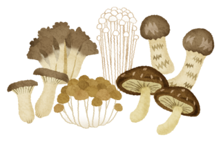 mushroom-various.png