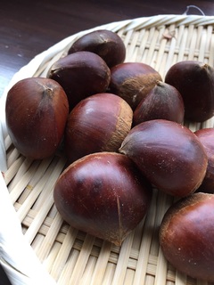 IMG_1145 chestnuts maron+.jpg