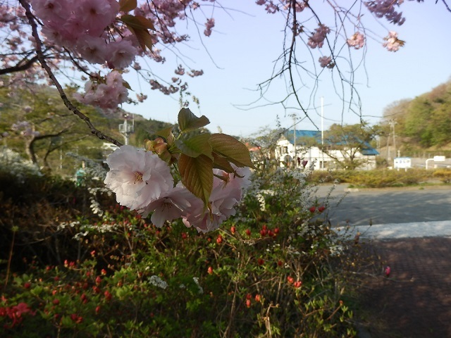 20150427_kayooka2.jpg