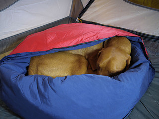 noblecamper_dog_bed_bag-02_1024x1024.jpg