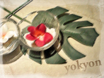 yokyon̉摜