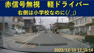 02 赤信号無視軽ドライバー-02.jpg