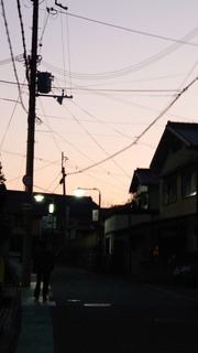 20201117_061132.JPG