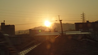 20201117_065425.JPG