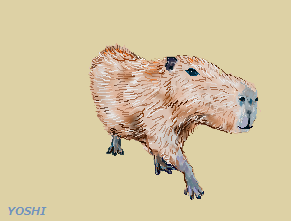 26capybara.png