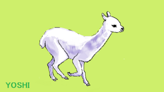 alpaca.png