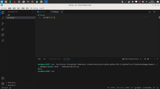 vscode_19.png
