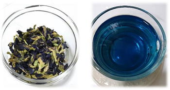 blue tea long 2.png